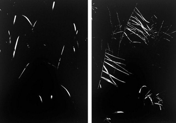 Lucien Clergue, Secret Camargue, 1976, Photogravures, Set of 2-ICD-696852