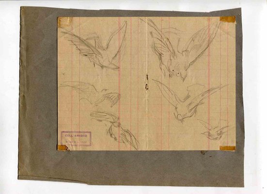 Luigi Galli, Birds, Original Drawing, Late 19th-Century-ZCI-1164042