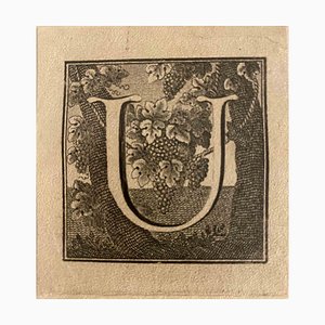 Luigi Vanvitelli, Letter of the Alphabet U, Etching, 18th Century-ZCI-2024955