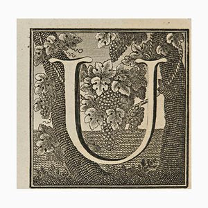 Luigi Vanvitelli, Letter of the Alphabet U, Etching, 18th Century-ZCI-2024979