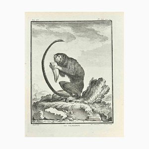 Madeline Rousselet, Le Tamarin, Etching, 1771-ZCI-2029851