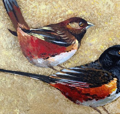 Magdalena Nalecz, Large Ground Finch, 2021, Acrylic on Canvas-XHG-1214550