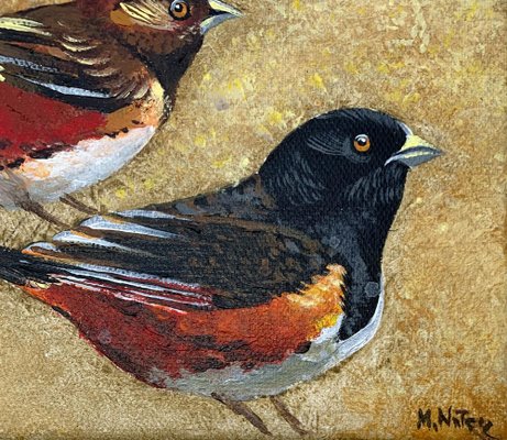 Magdalena Nalecz, Large Ground Finch, 2021, Acrylic on Canvas-XHG-1214550