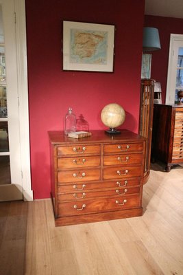 Mahogany Chest of Drawers-CUP-1059033