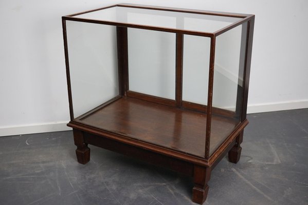 Mahogany Museum / Shop Display Cabinet, Early 20th Century-XO-997064