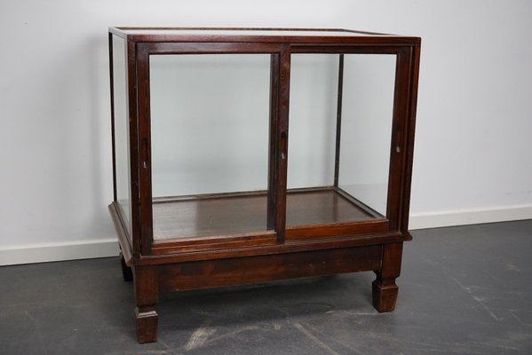 Mahogany Museum / Shop Display Cabinet, Early 20th Century-XO-997064