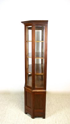 Mahogany Vitrine Cabinet with Faceted Glass, Austria, 1910s-TQA-1321900