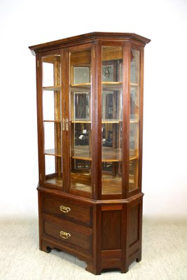 Mahogany Vitrine Cabinet with Faceted Glass, Austria, 1910s-TQA-1321900