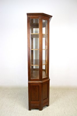 Mahogany Vitrine Cabinet with Faceted Glass, Austria, 1910s-TQA-1321900