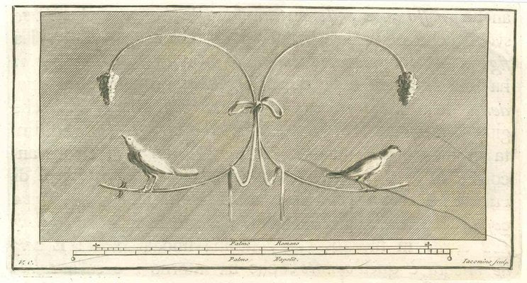 Marcantonio Iacomino, Birds Pompeian Fresco, Etching, 18th Century-ZCI-1788761