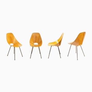 Medea Chairs by Vittorio Nobili, Italy, 1955, Set of 4-ZCI-1775949