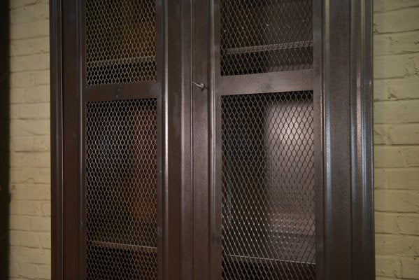 Mesh Cabinet with 2 Metal Doors from Tolix, 1950s-NEN-2041973