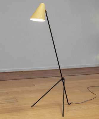 Metal Grasshopper Giraffe Floor Reading Lamp with Vanille Shade, Sweden, 1940s-JE-1802151