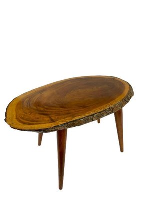 Mid-20th Century Tree Trunk Wine or Side Table by Carl Auböck-UCH-1224321