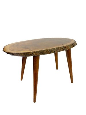 Mid-20th Century Tree Trunk Wine or Side Table by Carl Auböck-UCH-1224321