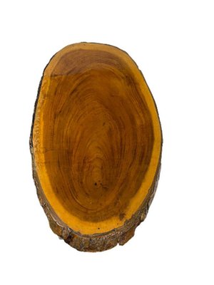 Mid-20th Century Tree Trunk Wine or Side Table by Carl Auböck-UCH-1224321