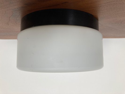 Mid-Century Bakelite Ceiling Flush Mount Lamps, 1970s, Set of 2-TZ-739026