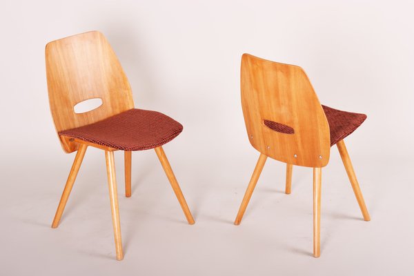 Mid-Century Beech Dining Chairs attributed to František Jirák for Tatra Nabykov, Slovakia, 1950s, Set of 5-WHY-1790695