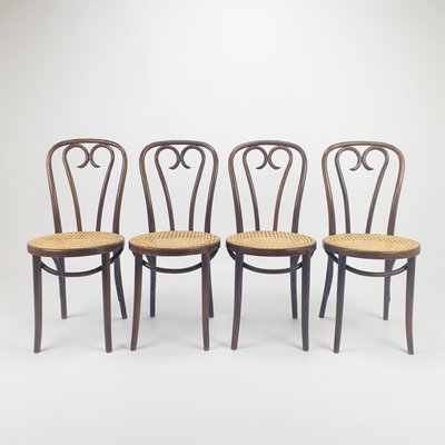 Mid-Century Bentwood & Cane Dining Chairs by Michael Thonet for ZPM Radomsko, 1960s, Set of 4-RMX-782855