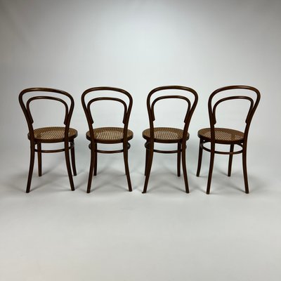 Mid-Century Bentwood & Cane Dining Chairs by Michael Thonet for ZPM Radomsko, 1960s, Set of 4-RMX-1139079