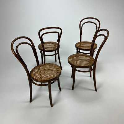 Mid-Century Bentwood & Cane Dining Chairs by Michael Thonet for ZPM Radomsko, 1960s, Set of 4-RMX-1139079