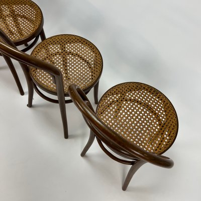 Mid-Century Bentwood & Cane Dining Chairs by Michael Thonet for ZPM Radomsko, 1960s, Set of 4-RMX-1139079