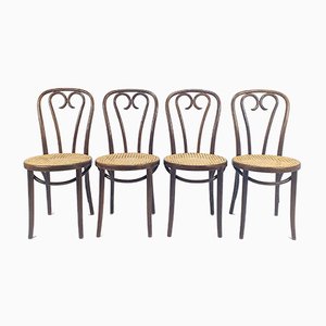 Mid-Century Bentwood & Cane Dining Chairs by Michael Thonet for ZPM Radomsko, 1960s, Set of 4-RMX-782855