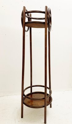 Mid-Century Bentwood Planter, Austria, 1930s-FGA-1096416