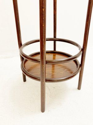 Mid-Century Bentwood Planter, Austria, 1930s-FGA-1096416