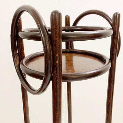 Mid-Century Bentwood Planter, Austria, 1930s-FGA-1096416