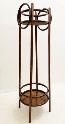 Mid-Century Bentwood Planter, Austria, 1930s-FGA-1096416