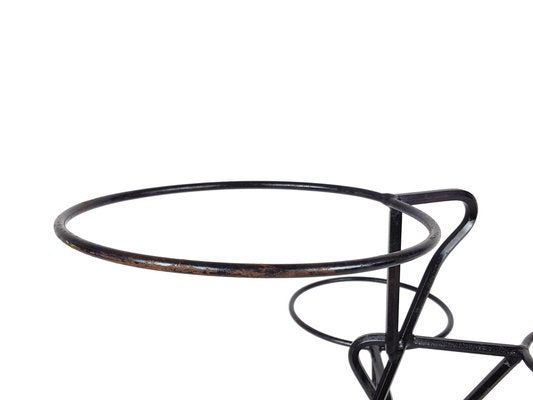 Mid-Century Black Metal Rod Plant Stand, 1950s-RD-1823000