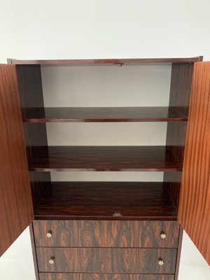 Mid-Century Cabinet in Rosewood Veneer, 1960s-BGP-848704