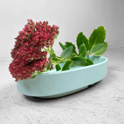 Mid-Century Ceramic Ikebana Flower Bowl, Japan, 1960s-DWL-1739644