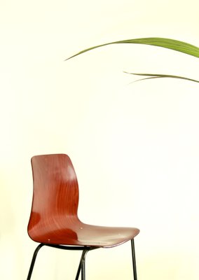 Mid-Century Chair from Pagholz Flötotto, 1950s-HUY-1777072