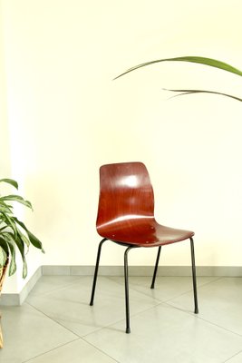 Mid-Century Chair from Pagholz Flötotto, 1950s-HUY-1777072