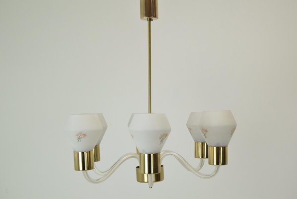 Mid-Century Chandelier from Kamenicky Senov, 1960s-TZ-1323208