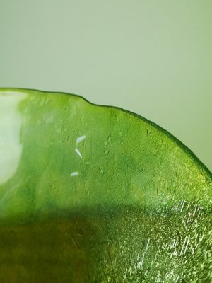 Mid-Century Cracked Veil Green Glass Vase, 1960s-UWE-1780029