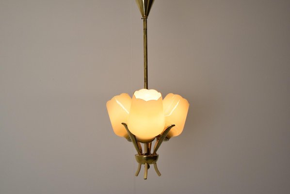 Mid-Century Czechoslovakia Chandelier, 1960s-TZ-1252038