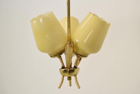 Mid-Century Czechoslovakia Chandelier, 1960s-TZ-1252038