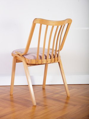 Mid-Century Czechoslovakian Dining Chair in Bentwood from Ton, 1970s-IND-1389802