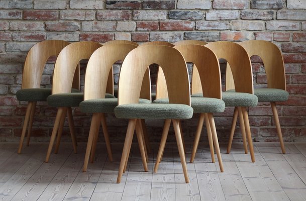 Mid-Century Dining Chairs by A. Suman, Set of 10-MJR-1332504