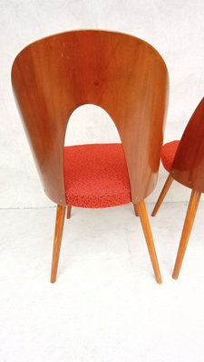 Mid-Century Dining Chairs by Antonin Suman, 1960s, Set of 2-VIC-1794589