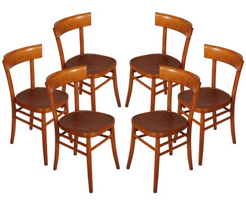 Mid-Century Dining Chairs from ISA Bergamo, 1950s, Set of 6-NJV-889098