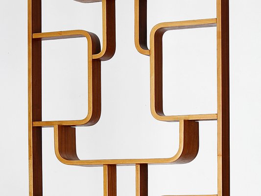 Mid-Century Divider by Ludvik Volak from Drevopodnik Holesov, 1960s-TW-1410849