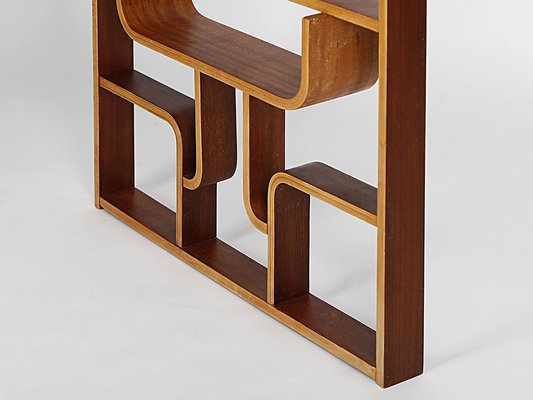 Mid-Century Divider by Ludvik Volak from Drevopodnik Holesov, 1960s-TW-1410849