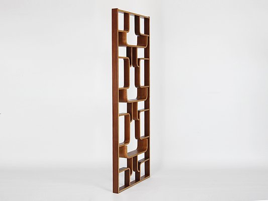 Mid-Century Divider by Ludvik Volak from Drevopodnik Holesov, 1960s-TW-1410849