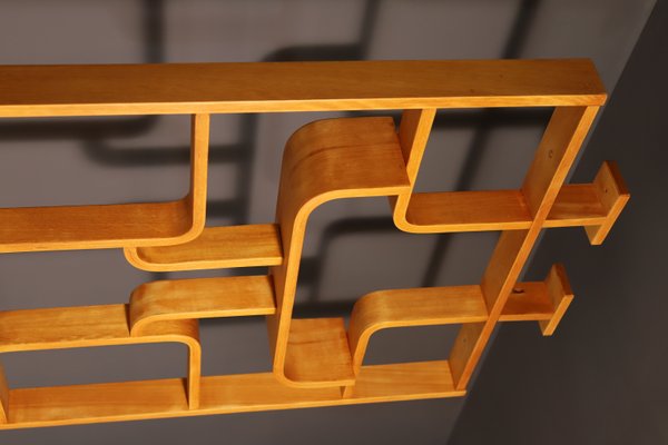 Mid-Century Divider by Ludvik Volak from Drevopodnik Holesov, 1970s-HXT-2022655