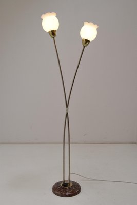 Mid-Century Floor Lamp by Kamenicky Senov, 1960s-TZ-924532