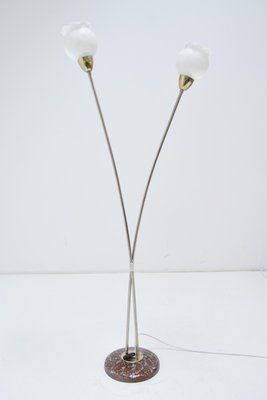 Mid-Century Floor Lamp by Kamenicky Senov, 1960s-TZ-924532